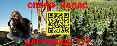 МДПВ Пушкино