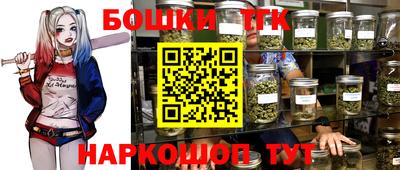 МДПВ Пушкино