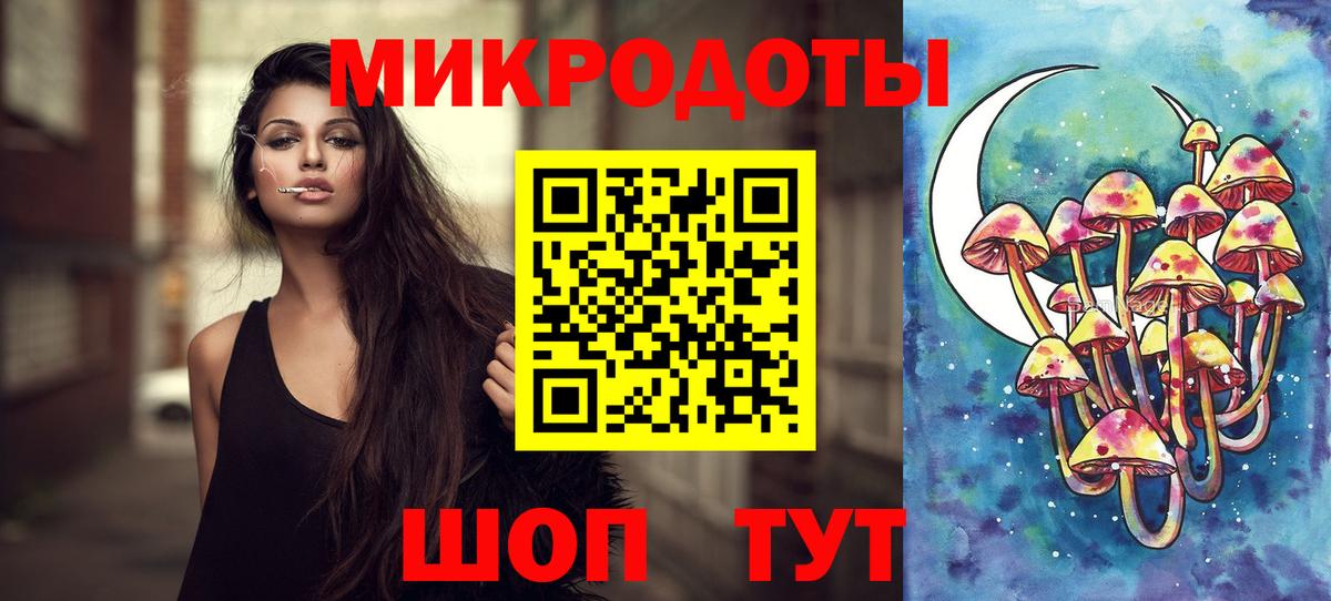 Галлюциногенные грибы Psilocybe Прокопьевск