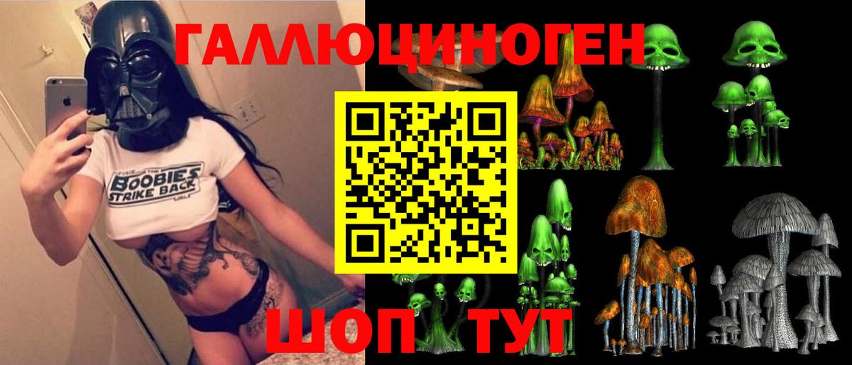 Прокопьевск  Псилоцибиновые грибы мухоморы  Вход с VPN 